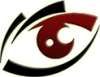 Foresight Eye Clinic