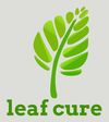 Leaf Cure (Acupuncture & Herbal Treatment Center)