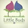 Little Buds Child Care Clinic
