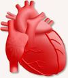 Mayo Heart Clinic & Diagnostics