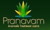 Pranavam Ayurvedic Treatment Centre-Koramangala